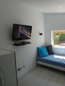 勒米伊Chalet Var Canebières的客厅配有蓝色的沙发和平面电视。