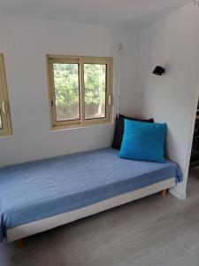 勒米伊Chalet Var Canebières的窗户间内的一张带蓝色枕头的床