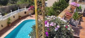 圣米格尔德萨利纳斯Villa Castillo Nuevo with optional Heated Private Pool的享有带鲜花的游泳池的顶部景致