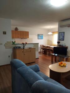 奥库格哥恩基Apartmani Tatjana的一间带蓝色沙发的客厅和一间厨房