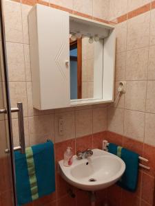 奥库格哥恩基Apartmani Tatjana的浴室配有盥洗盆、橱柜和毛巾。