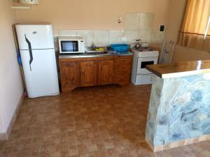 坦迪尔Cabañas Calihue的厨房配有白色冰箱和微波炉