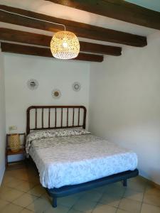 Sant Llorenç de MontgaiLo Raconet的一间卧室配有一张床和一个吊灯
