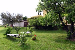 波尔托罗Guesthouse Emilia的一个带野餐桌和一棵树的院子