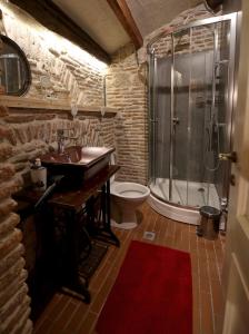 戈里察Le Petit Secret, Korce, Albania的一间带水槽、淋浴和卫生间的浴室