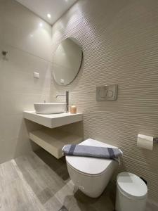 斯达林MIKE'S STUDIOS的一间带卫生间、水槽和镜子的浴室