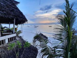 江比阿Sweet Beach Apartments的度假村的海景