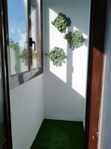 潘普洛纳Alda Centro Pamplona的绿地走廊和窗户门