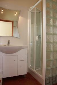 卢斯艾斯特迪奥斯蒙特豪斯达鲁兹酒店的一间带水槽和玻璃淋浴的浴室