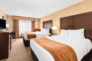 温哥华Comfort Inn & Suites Vancouver Downtown City Center的相册照片