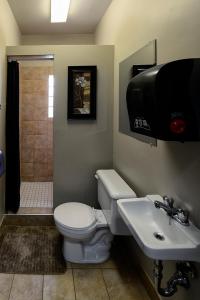 魁北克市812乡间度假别墅的一间带卫生间和水槽的浴室