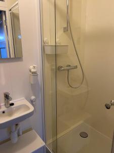 迪温特ANdesluis的一间带玻璃淋浴和水槽的浴室