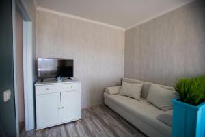 秋明Apartment on Maksima Gorkogo 10的带沙发和平面电视的客厅