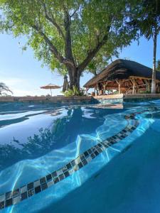 DivunduShametu River Lodge的一个带树和凉亭的游泳池