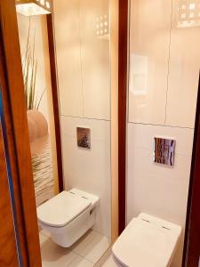 格丁尼亚Apartament Elizabeth的一间带卫生间和水槽的浴室