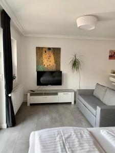 汉诺威Apartment Martinstraße 7b的带沙发和平面电视的客厅