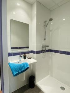 尼姆Hostel Vertigo Nîmes Gare Centre的一间带水槽、淋浴和镜子的浴室
