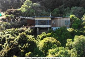 阿卡罗阿Akaroa Coastal Studio的树上山顶的房子