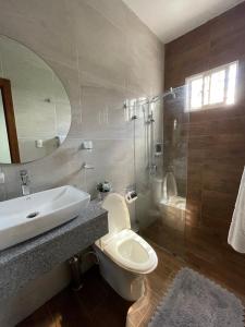 HigueyHotel Monarca的一间带水槽、卫生间和镜子的浴室