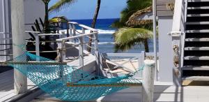 拉罗汤加Ocean Escape Resort & Spa的相册照片