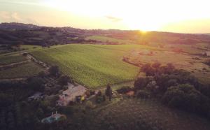 蒙特普齐亚诺La Falconara的享有农场的空中景色,背面是太阳