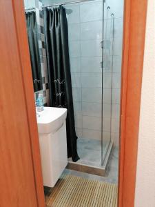 特拉夫尼克Kod Lipe - Travnik的一间带水槽和玻璃淋浴的浴室