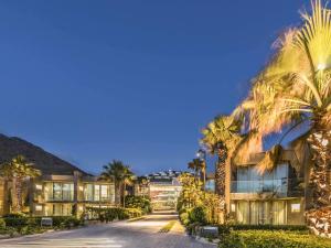 图尔古特雷斯博德鲁姆海滩瑞士度假酒店的享有棕榈树建筑的外部景色