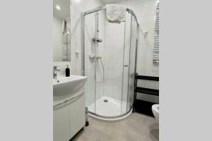 卢布林Easy Rent Apartments - BUSINESS CENTER 126的带淋浴、盥洗盆和卫生间的浴室