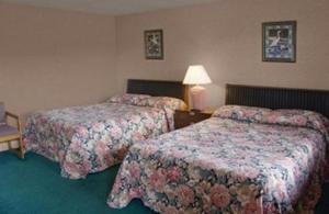 Wellsville百思特汽车旅馆的酒店客房,设有两张床和一盏灯