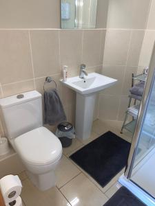 拉腊Sliabh Amharc的浴室配有白色卫生间和盥洗盆。