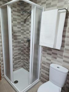 普拉森西亚Apartamentos Clavero 10的带淋浴和白色卫生间的浴室