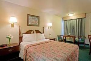 Wellsville百思特汽车旅馆的酒店客房配有一张床铺和一张桌子。