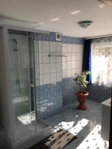 斯罗姆韦斯尼Apartament i pokoje u Piotra的带淋浴和盆栽的浴室