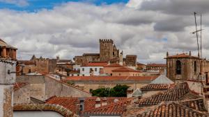 卡塞雷斯ParrApartamentos Cáceres的享有带建筑和屋顶的城市美景