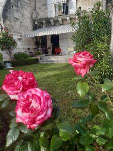 昂古莱姆Chambres d'Hôtes Les Jardins de la Cathédrale的建筑物前两朵粉红色玫瑰