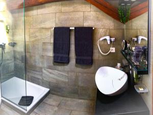 纳沙泰尔普鲁森庄园酒店的一间带水槽、卫生间和淋浴的浴室