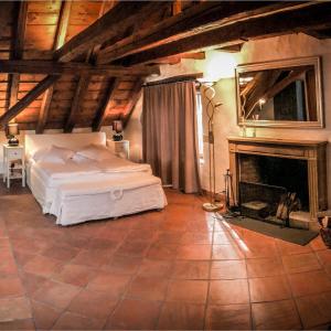 纳沙泰尔普鲁森庄园酒店的一间卧室配有一张床和一个壁炉