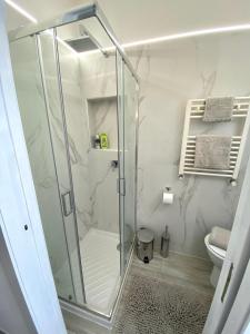 巴列塔B&B Le Statuine的一间带卫生间的浴室内的玻璃淋浴间