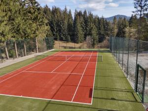 奥拉瓦公园山林小屋内部或周边的网球和/或壁球设施