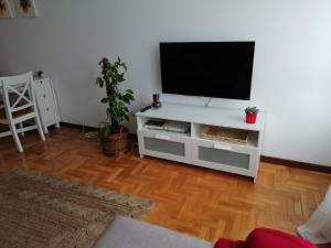 比利亚维西奥萨Apartamento Conlledo的一间客厅,客厅内配有一台电视,位于白色娱乐中心