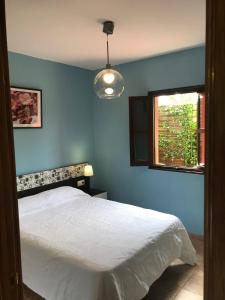 HontoriaCasa Rural Llanes - Hontoria的蓝色的卧室设有床和窗户