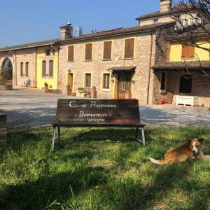 CeresaraCorte Pioppazza的一条狗躺在长凳旁边的草地上