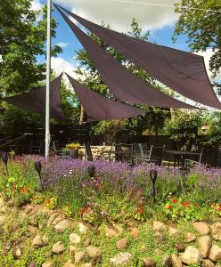 Nørre Vissing北辛库洛酒店的紫色花朵花园的天篷