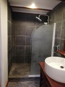 阿姆巴托洛阿卡柏侃尼尔斯酒店的带淋浴和盥洗盆的浴室