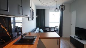 格但斯克Apartament 47 Letnica的一个带水槽的厨房和一间客厅
