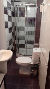 卡赞勒克Guest House Bulgari的带淋浴、卫生间和盥洗盆的浴室