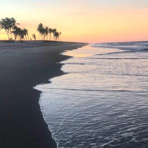 贝贝里比Tabubinha Paradise的日落时分拥有棕榈树和海洋的海滩