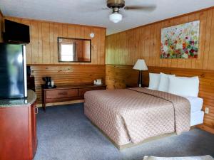 马吉谷Stony Creek Motel的酒店客房,配有床和电视