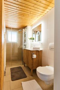 费尔德伯格Ferienhaus "Am Wäldle"的浴室配有卫生间、盥洗盆和淋浴。