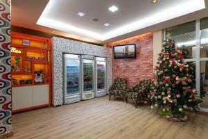 波多韦柳纳迪沃酒店的一间有商店的房间的圣诞树